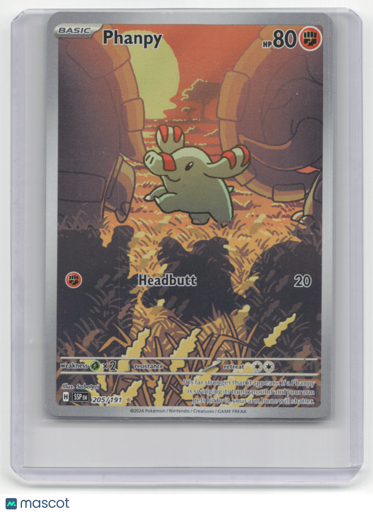 2024 Pokemon Phanpy Surging Sparks #205/191