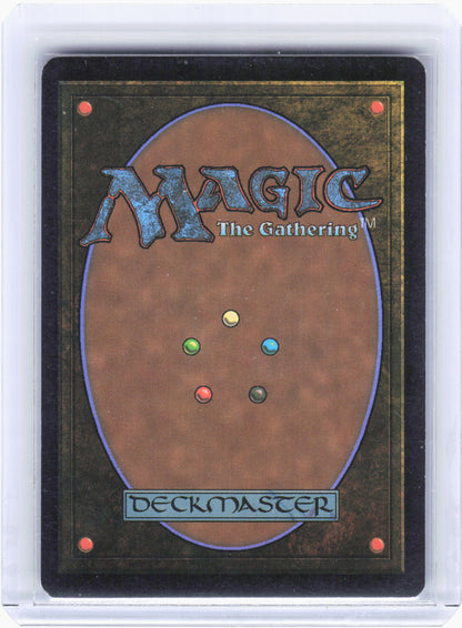 2022 Magic: The Gathering—Hallowed Fountain #277 Unfinity—Rare Foil (Borderless)