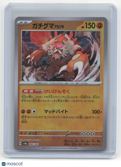 2024 Pokemon—Bloodmoon Ursaluna #085/187 Terestal Festival— Japanese Pokeball