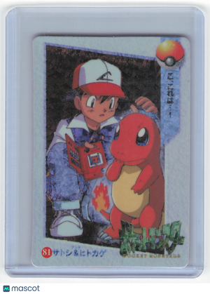 Descriptive image text