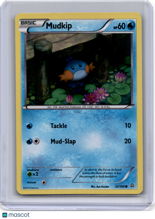 2014 Pokemon Mudkip XY Primal Clash #33/160 Light Played