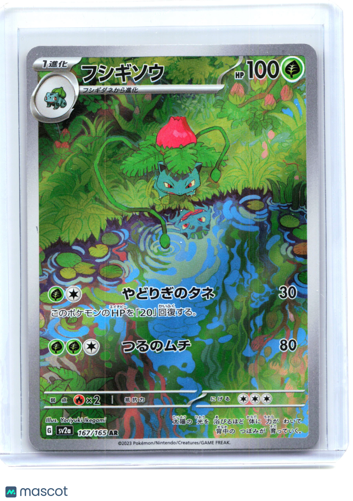 2023 —Ivysaur #167 Sv2a: Pokemon Card 151—Art Rare Holo Japanese