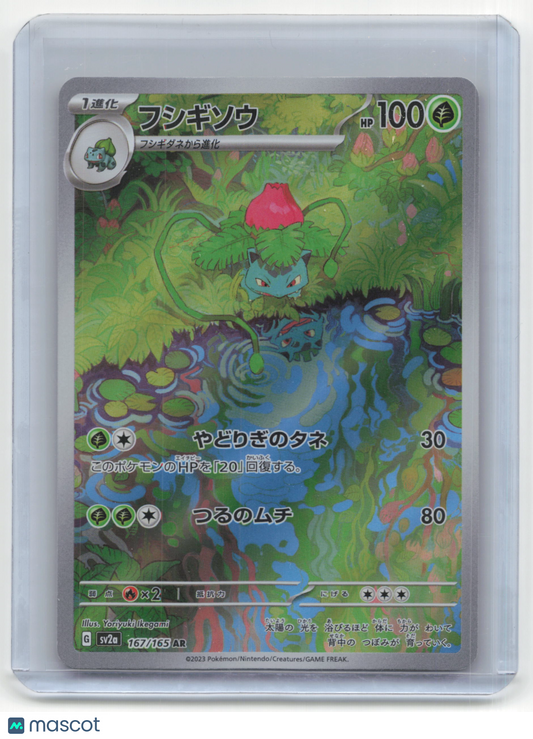 2023 Ivysaur Pokemon 151 #167/165 Japanese