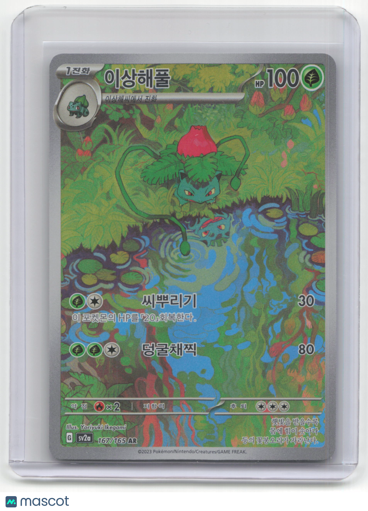 2023 Ivysaur Pokemon 151 #167/165 Korean