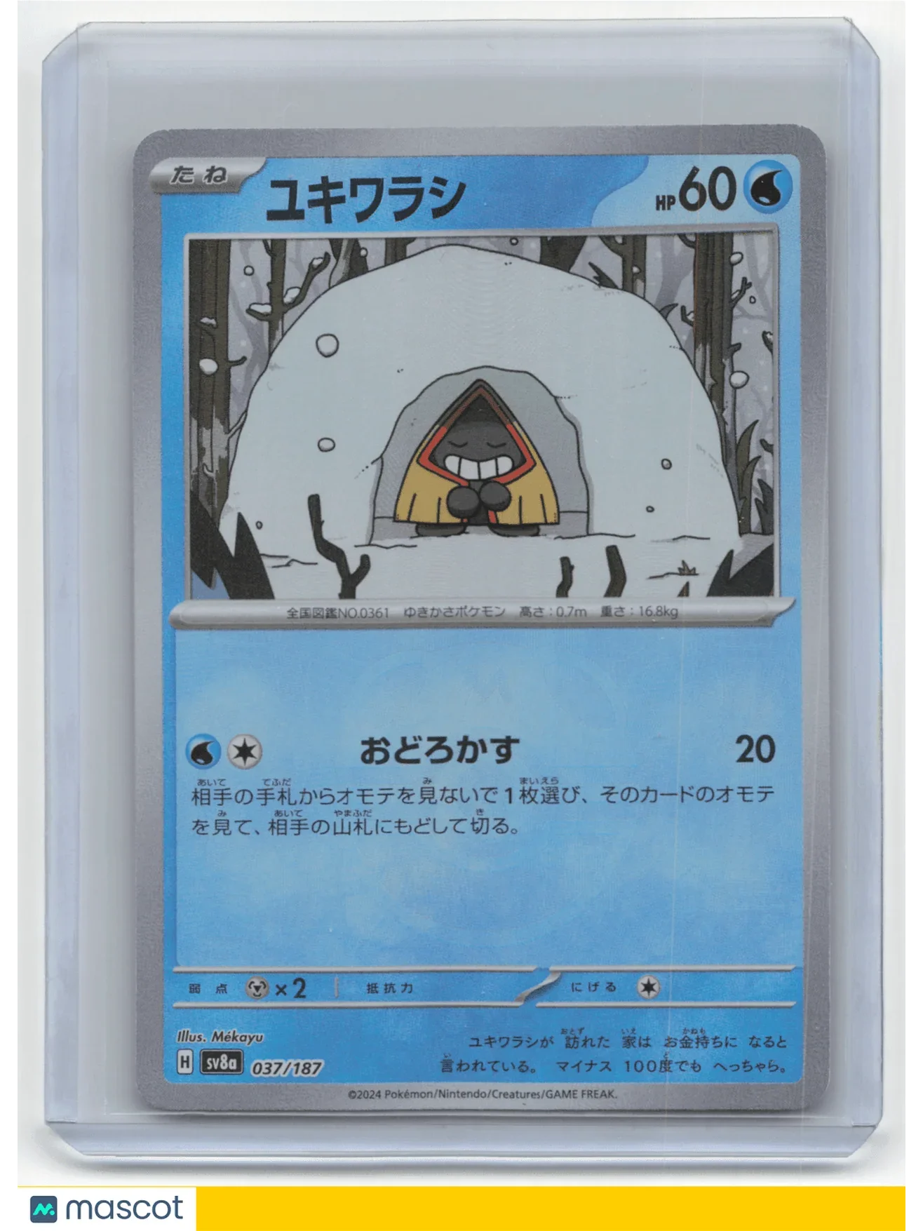 2024 Pokemon TCG Snorunt Terastal Fest EX #037/187 Japanese MasterBallHolo - Papa Joey's Collectibles