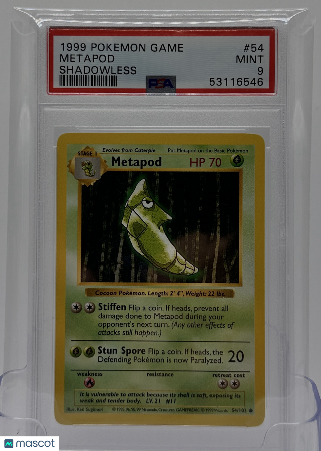 1999 Pokemon Game—Metapod #54 Base Set (Shadowless)—Common PSA 9