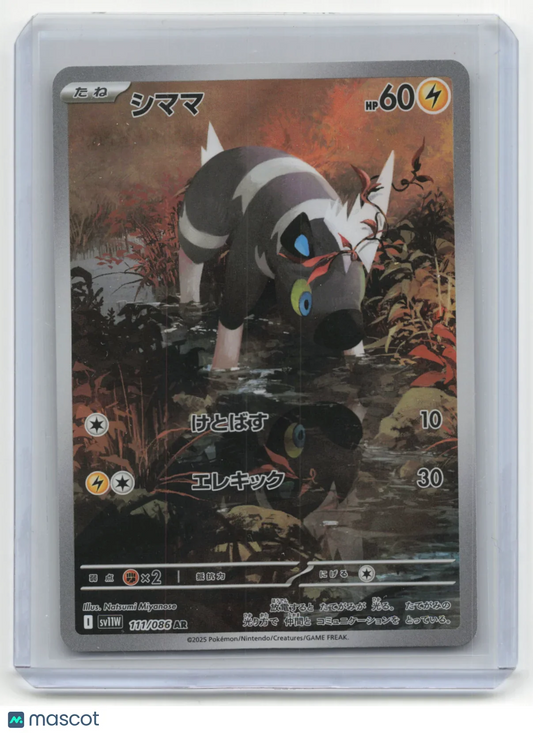 2025 Pokemon Blitzle White Flare #111/086 Japanese - Papa Joey's Collectibles