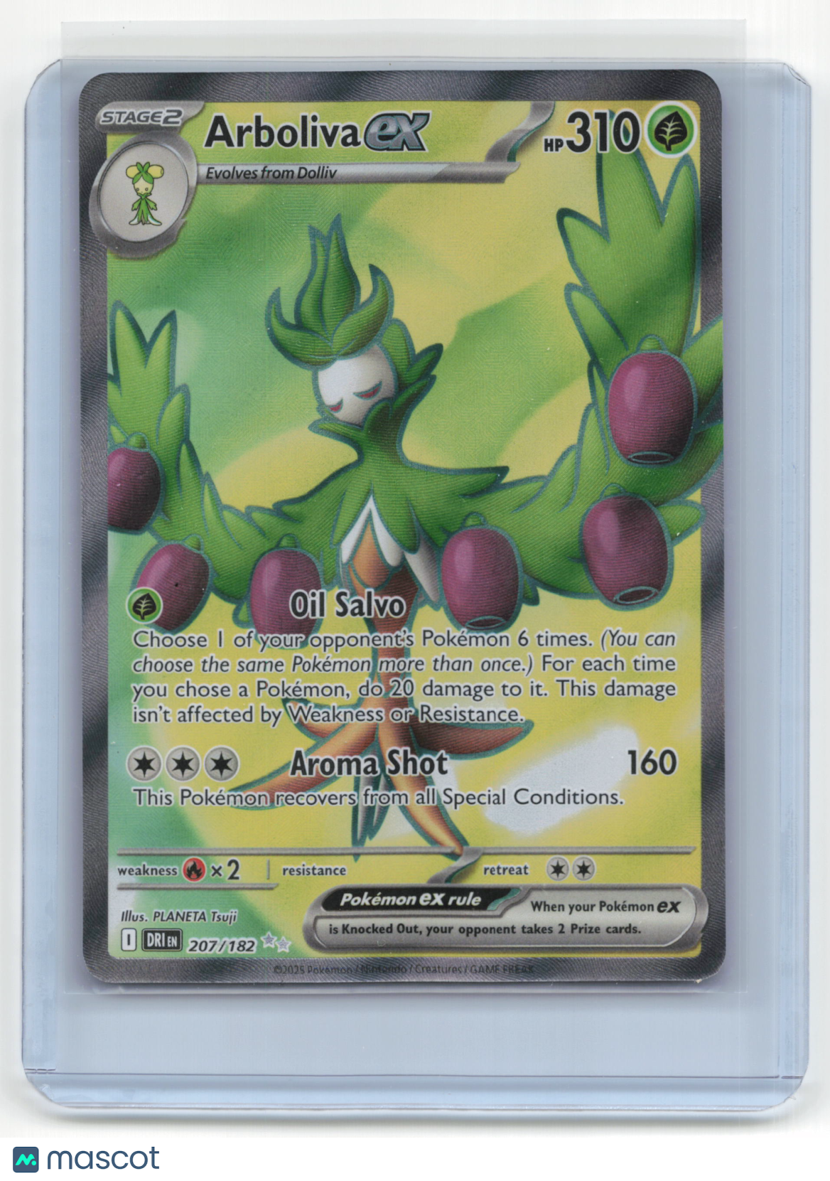 2025 Pokemon Arboliva ex Destined Rivals #207/182