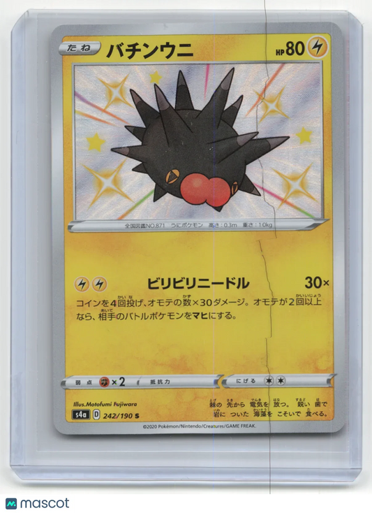 2020 Pokemon TCG Pincurchin Shiny Star V #242/190 Japanese - Papa Joey's Collectibles