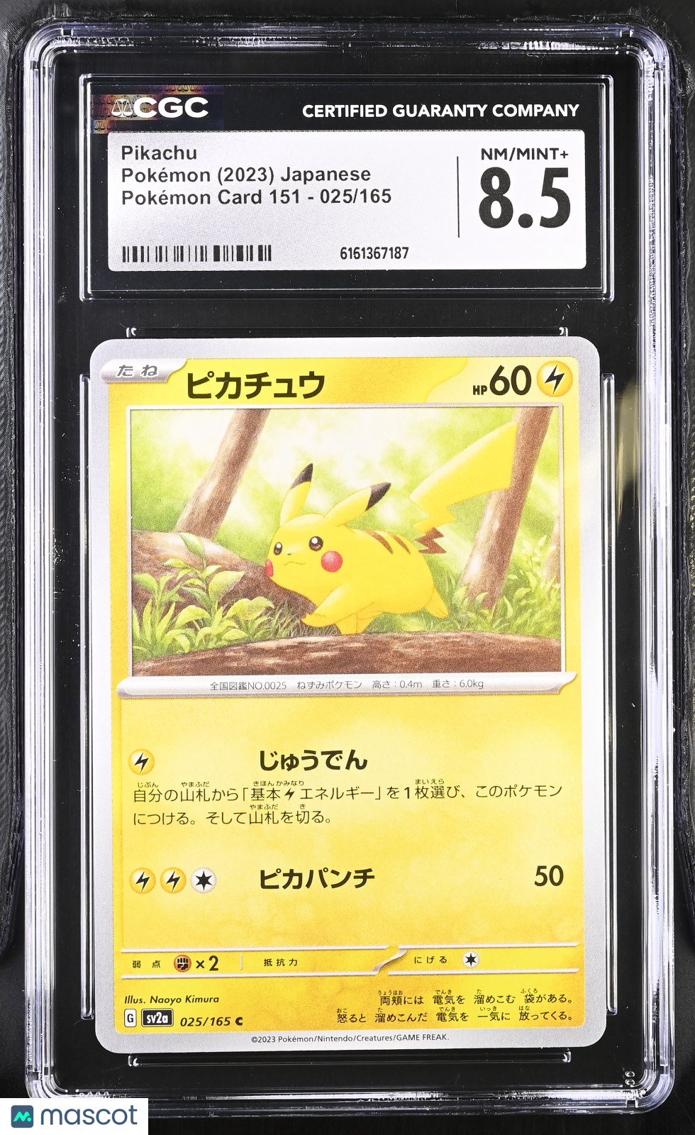2023 Pokemon—Pikachu #025/165 Pokemon Card 151—Common Nonholo Japanese CGC 8.5