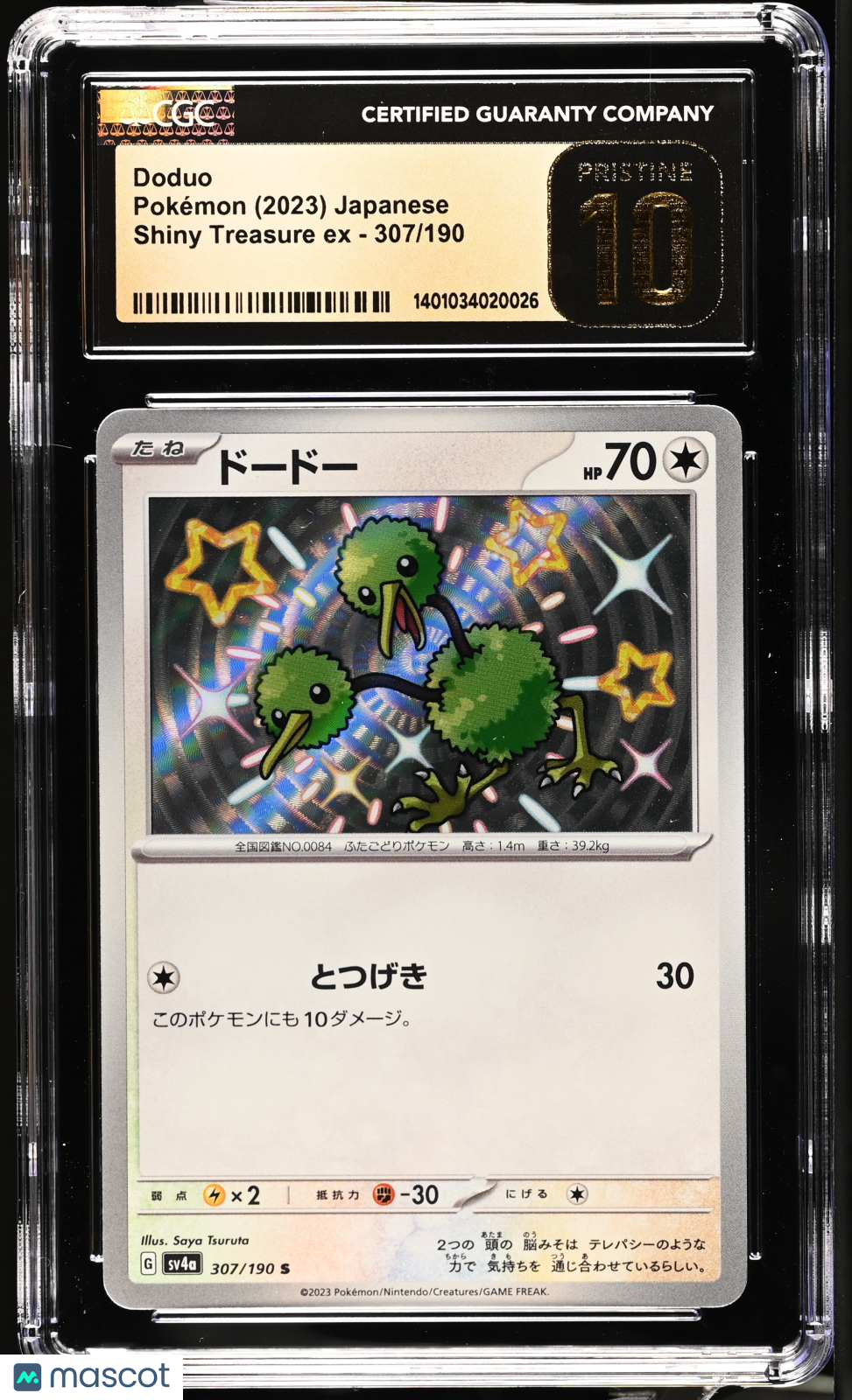 2023 Pokemon—Doduo #307 Shiny Treasure EX—Shiny Rare Holo Japanese CGC 10