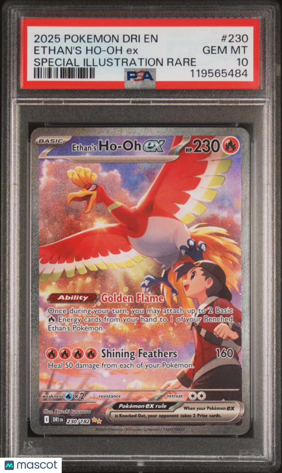 2025 Pokemon—Ethan's Ho-Oh EX #230 Destined Rivals—SIR Holo PSA 10
