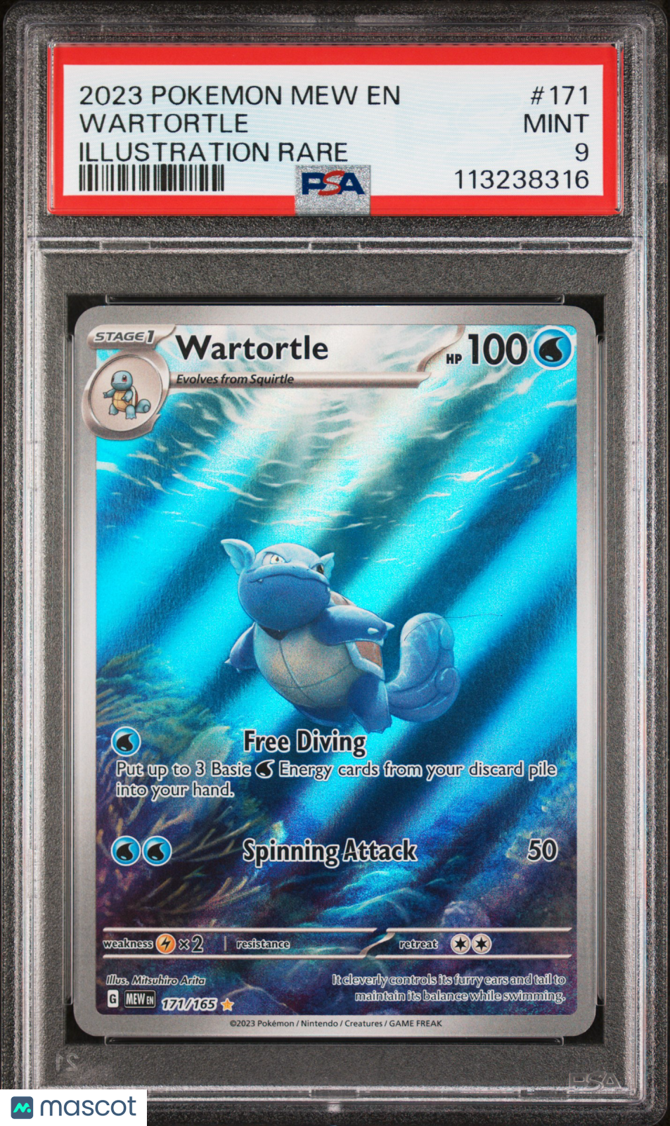 2023 Pokemon—Wartortle #171 Scarlet & Violet 151—Illustration Rare Holo PSA 9
