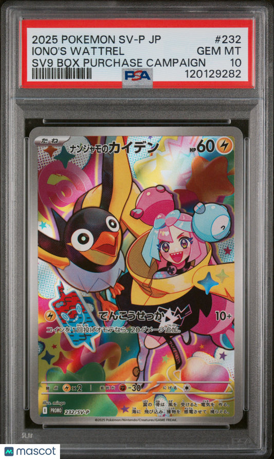 2025 Pokemon Iono's Wattrel SV-P Promo #232 Japanese PSA 10