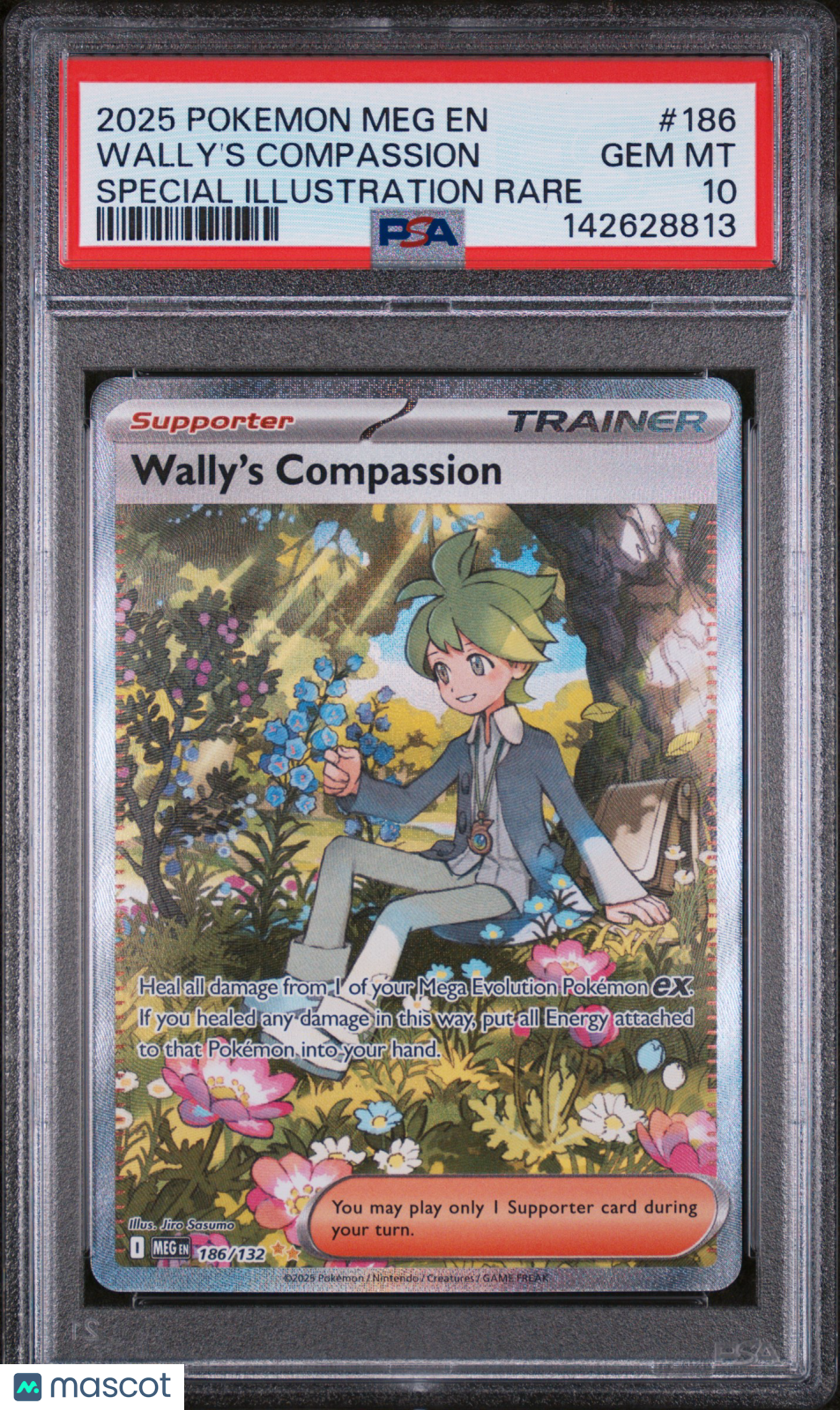 2025 Pokemon—Wally's Compassion #186 Mega Evolution—SIR Foil PSA 10