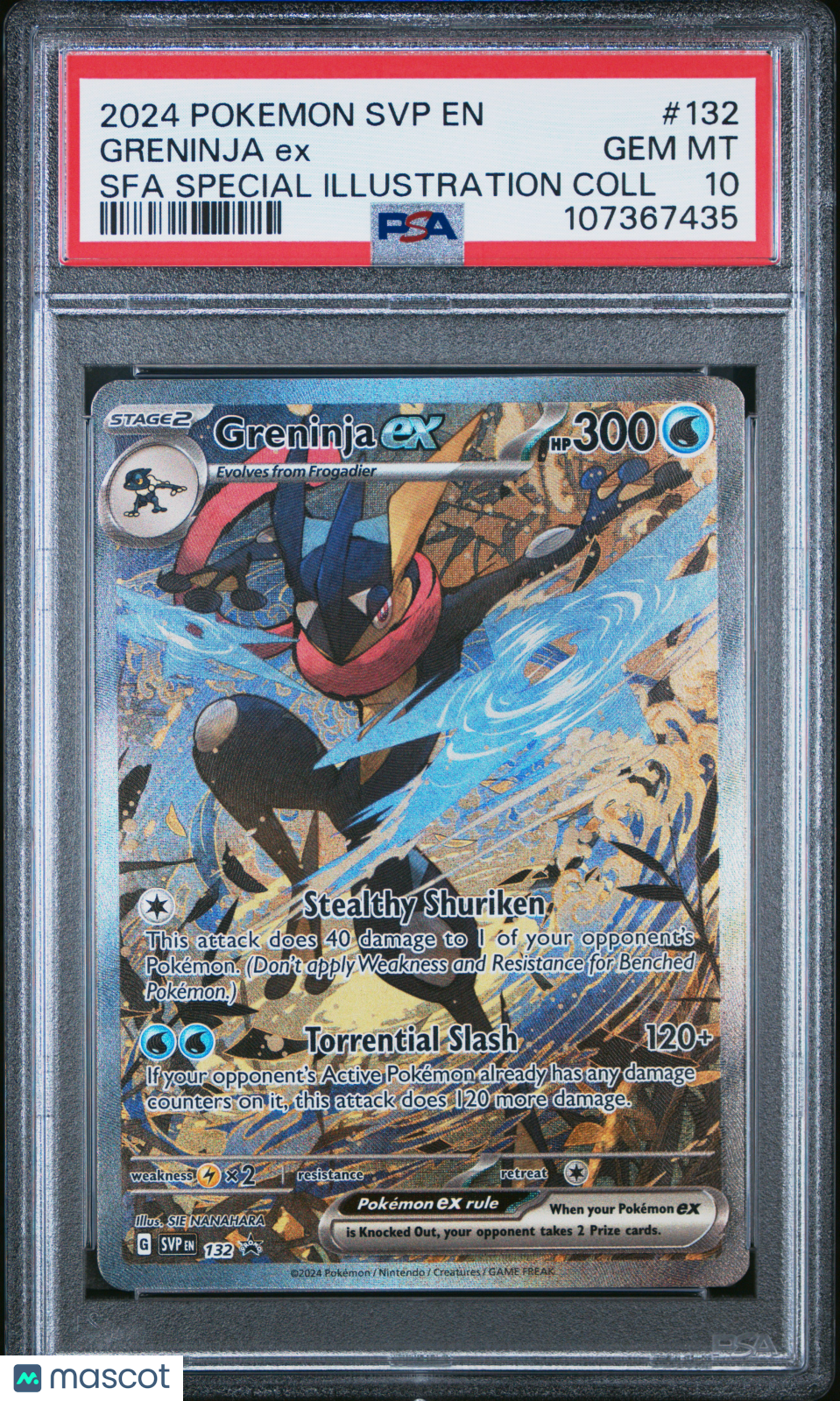 2024 Pokemon—Greninja ex #132 Scarlet & Violet Promos—Black Star Promo PSA 10