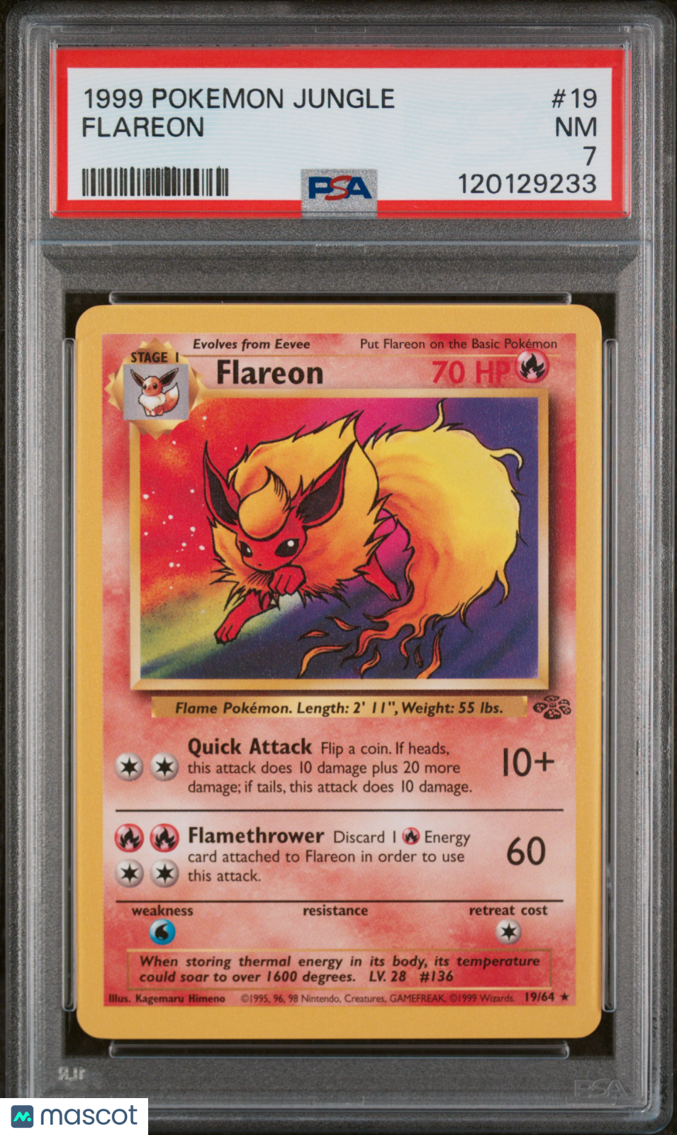 1999 Pokemon—Flareon #19 Jungle—Rare PSA 7