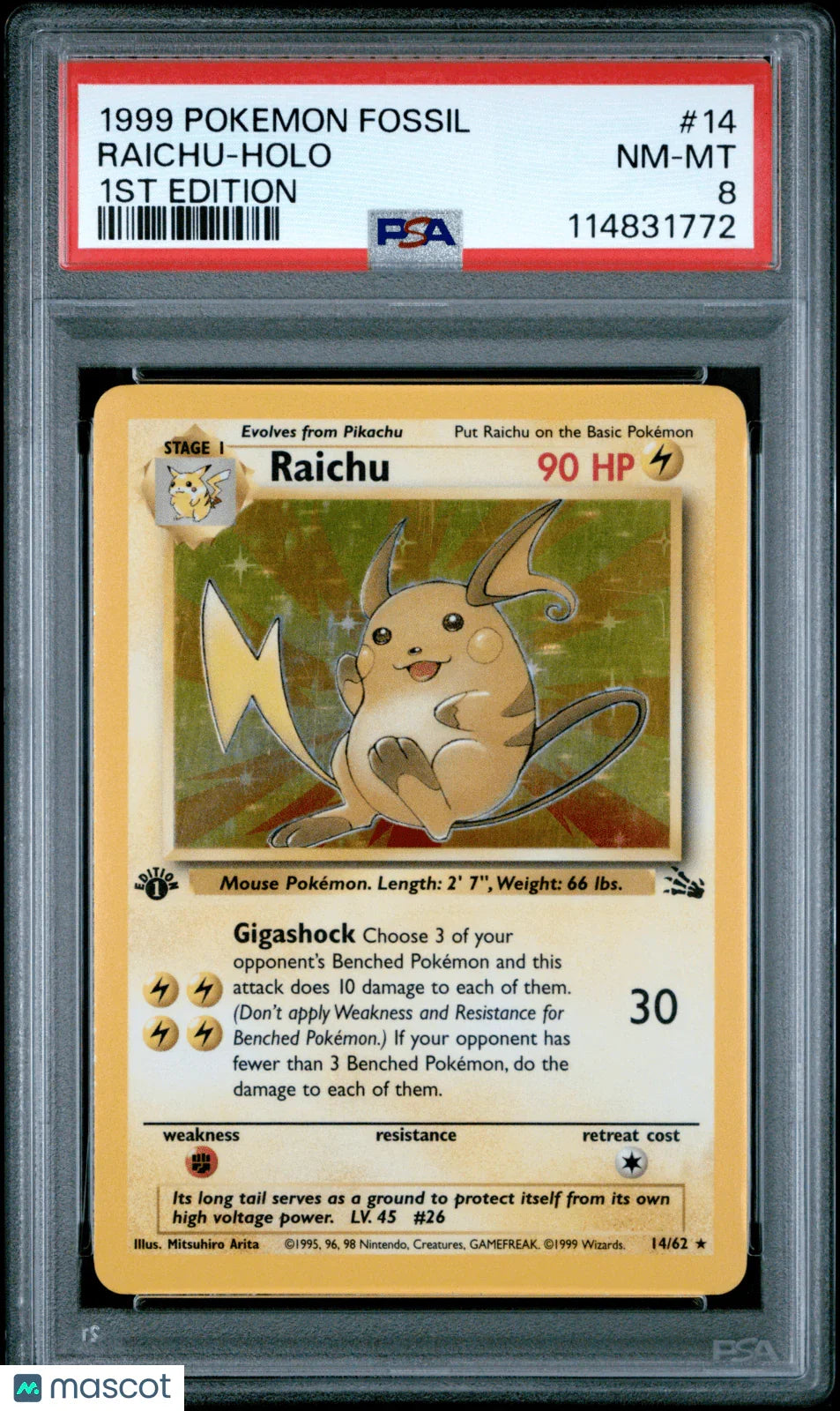 Raichu 1999 Pokemon Fossil #14 1ST Edition PSA 8 - Papa Joey's Collectibles