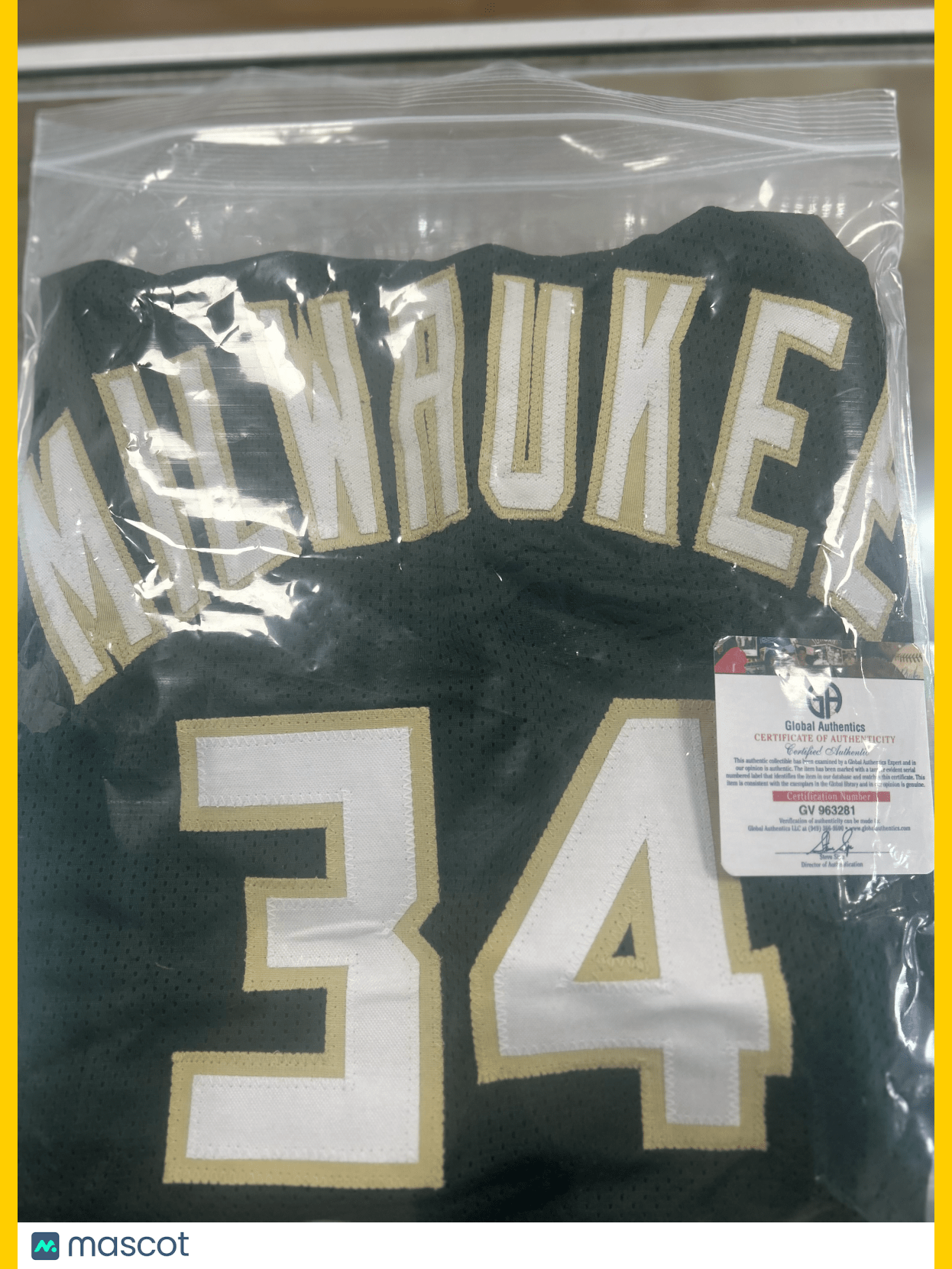 Giannis Antetokounmpo Milwaukee Bucks Autographed Basketball Jersey w/COA