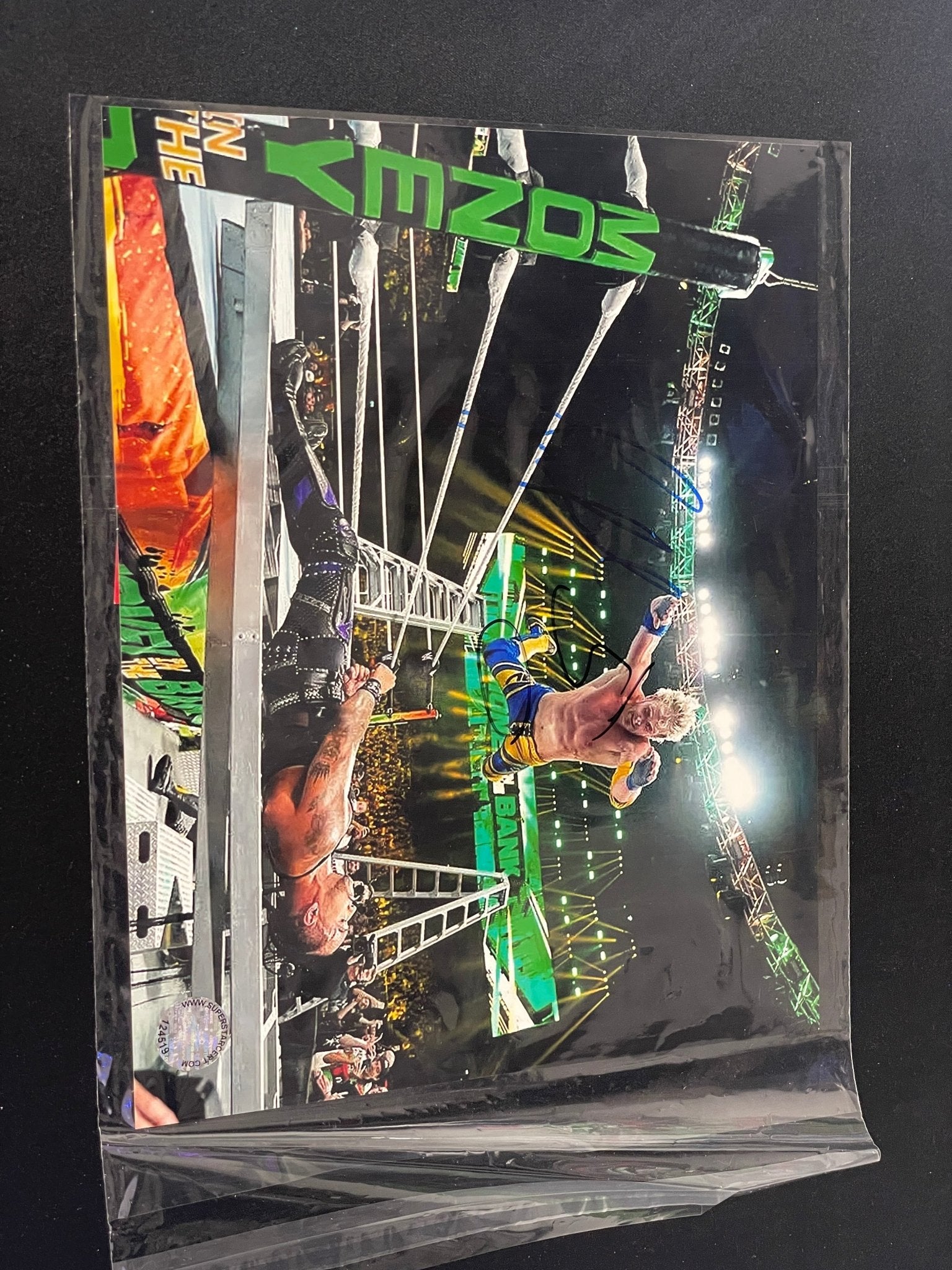 Logan Paul Signed Wrestling Photo